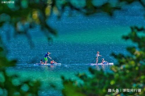 深入了解社交恐惧症和抑郁症?的知识星球平台,实用有效的解决方案
